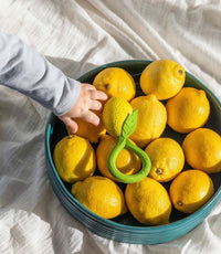 Load image into Gallery viewer, Lemon Rattle Toy
