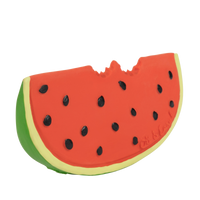 Load image into Gallery viewer, Wally the Watermelon
