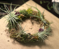 Load image into Gallery viewer, Living Wreaths : Air Plants with Terra Cotta Plant Boutique // Sat. March 14th // 1pm - 3pm
