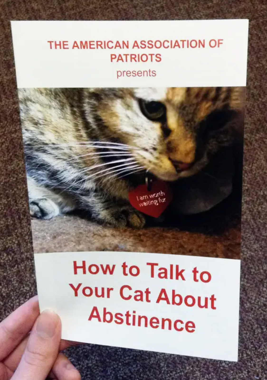 How to Talk to Your Cat About Abstinence Zine