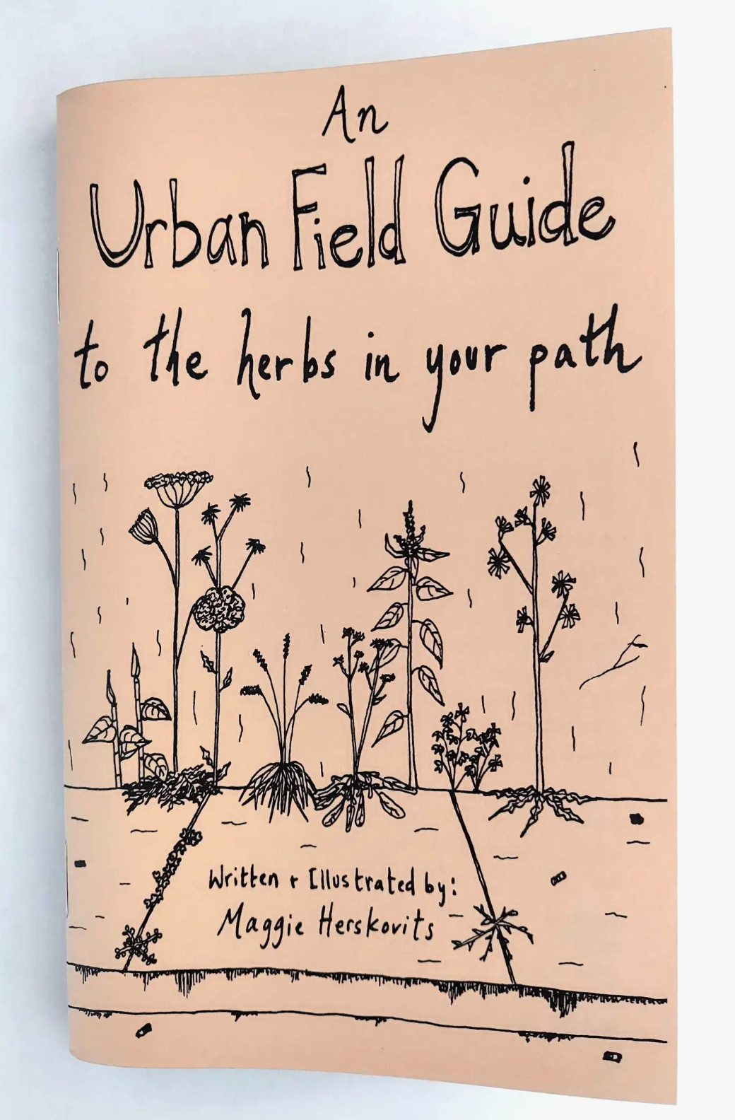 Urban Field Guide to the Herbs in Your Path Zine