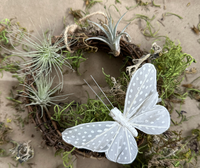 Load image into Gallery viewer, Living Wreaths : Spring Butterflies with Terra Cotta Plant Boutique // Sat. April 18th // 1pm - 3pm
