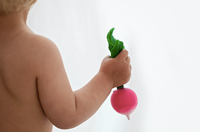 Load image into Gallery viewer, Ramona the Radish
