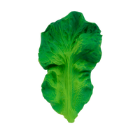 Load image into Gallery viewer, Kendall the Kale
