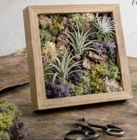 Load image into Gallery viewer, Living Frame Workshop with Terra Cotta Plant Boutique // Sat. May 30th // 1pm - 3pm
