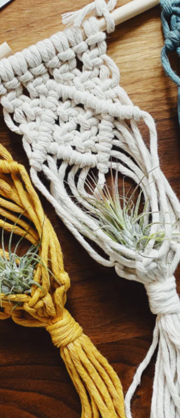 Natural DIY Macrame Air Plant Hanger Kit