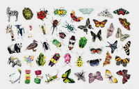 Load image into Gallery viewer, Scarab Beetle Sticker
